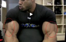 Victor Biceps .24-09-2009 16.01.jpg