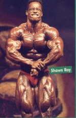 Shawn Ray 1994 Mr. Olympia !!!!.jpg