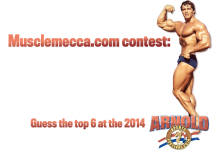 2014-MuscleMecca-Arnold-contest.png