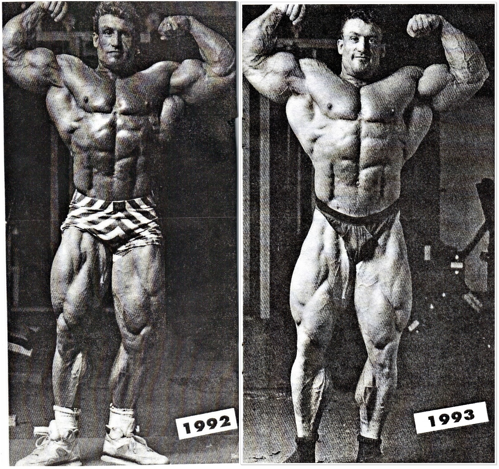 Mr. Olympia 1993  Dorian yates, Bodybuilding, Schwarzenegger bodybuilding