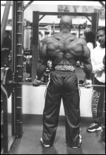 Flex Wheeler-5.jpg