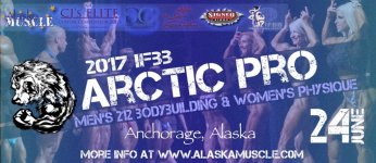 2017 Arctic Pro