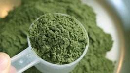 Kratom a coffee like plant native to southeast Asia is readily available in Canada Earth Kra
