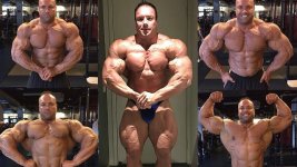 Josh Lenartowicz Bodybuilding Bio and Profile2