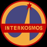 Interkosmos 31