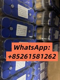 WhatsApp Image 2026 08 10 at 95125 AM 1 WhatsApp Image 2026 08 10 at 95125 AM 1