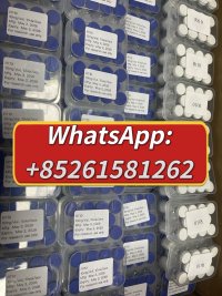 WhatsApp Image 2026 06 09 at 93237 AM WhatsApp Image 2026 06 09 at 93237 AM