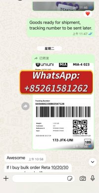 WhatsApp Image 2026 06 15 at 92925 AM WhatsApp Image 2026 06 15 at 92925 AM