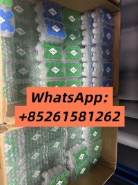 WhatsApp Image 2026 08 10 at 95126 AM 2 WhatsApp Image 2026 08 10 at 95126 AM 2