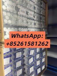 WhatsApp Image 2026 08 10 at 95124 AM 1 WhatsApp Image 2026 08 10 at 95124 AM 1