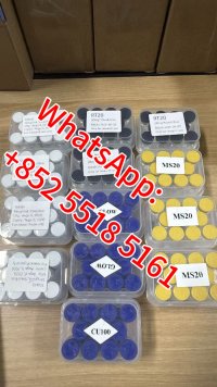 e41a8b8f-8078-4239-b879-f3f8ccb61934.jpg
