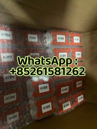 WhatsApp Image 2026 08 10 at 95128 AM 1 WhatsApp Image 2026 08 10 at 95128 AM 1
