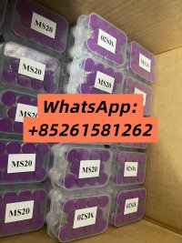 WhatsApp Image 2026 08 10 at 95128 AM