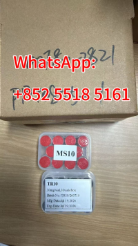1787649770161.png