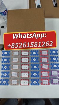 WhatsApp Image 2026 06 11 at 90856 AM WhatsApp Image 2026 06 11 at 90856 AM