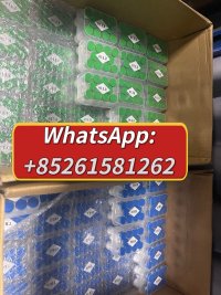 WhatsApp Image 2026 06 09 at 93243 AM