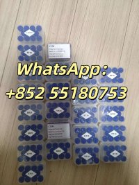 WhatsApp Image 2026-09-15 at 3.37.20 PM (2)_副本.jpg