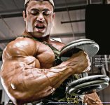 Moe Moussawi Updates   biceps