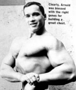 Arnold Schwarzenegger