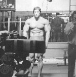 Arnold Schwarzenegger big