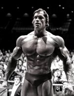 Arnold Schwarzenegger chest