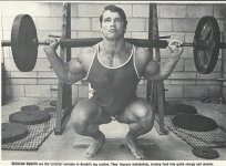 Arnold Schwarzenegger legs