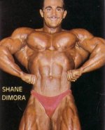 Shane Dimora