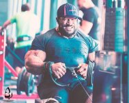 Roelly 2018