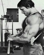 Arnold Schwarzenegger triceps