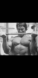 Arnold Schwarzenegger biceps