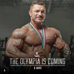 Flex lewis