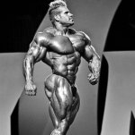 Jay Cutler