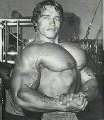 Arnold1