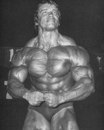 Arnold2