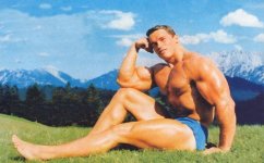 Arnold4