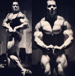 Arnold 3