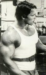 Arnold2