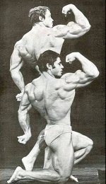 Arnold1