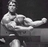 Arnold