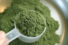 Kratom