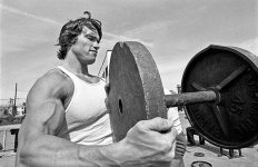 Arnold1