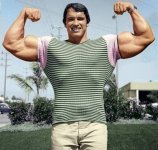 Arny1