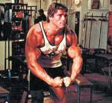 Arnold3