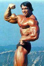 Arnold peak.jpg