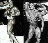 Arnold