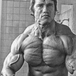 Arnold2