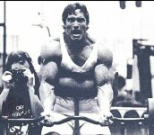 Arnold