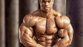 Kevin Levrone Biceps