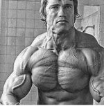 Arnold