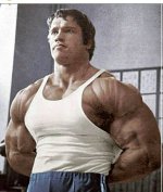 Arnold1